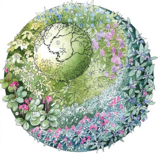 Цветущая Планета