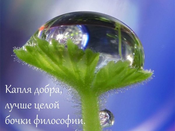 Вселенная в капле