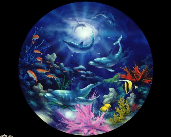 Дэвид Миллер картины рыбы