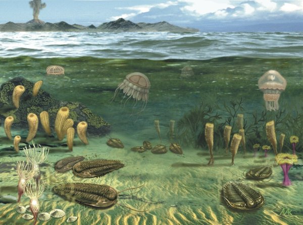 Протерозойская Эра Кембрий