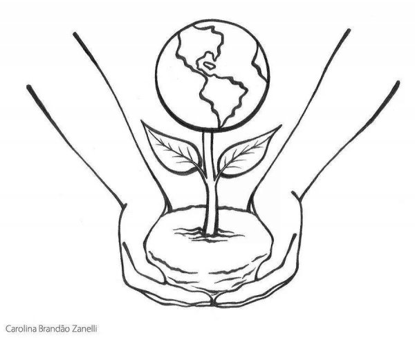 Защита природы раскраска