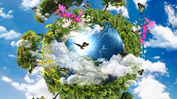 Чистая земля