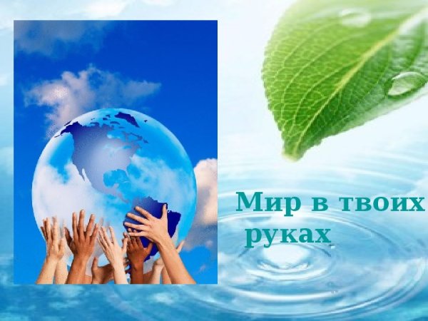 Экология природы экология души