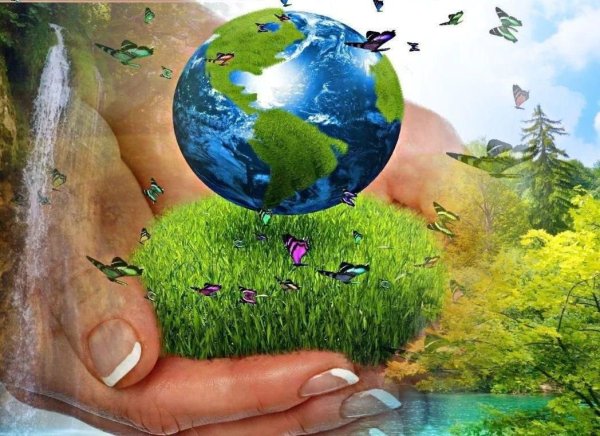 Сохранение природы
