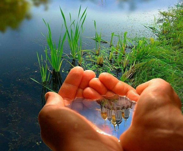 Вода в ладонях