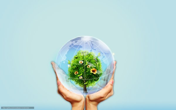 Мир в руках экология