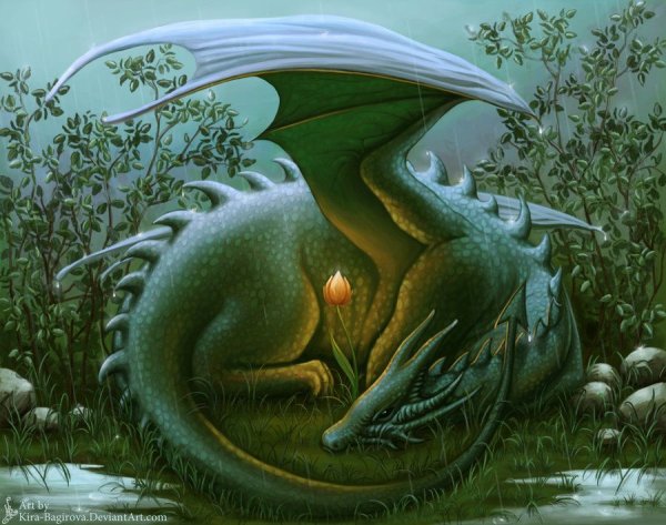 Спящий дракон