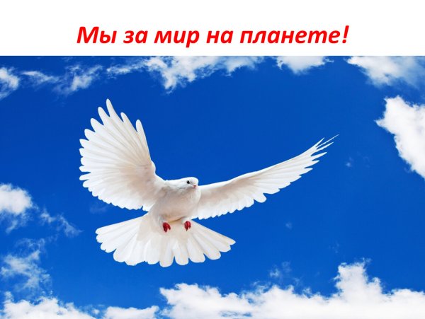 Мы за мир