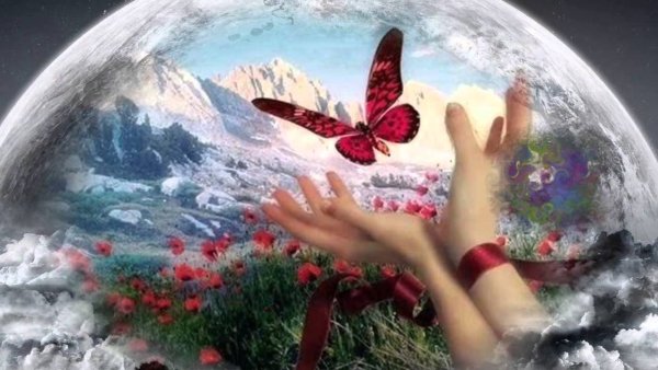 Мир любви и красоты