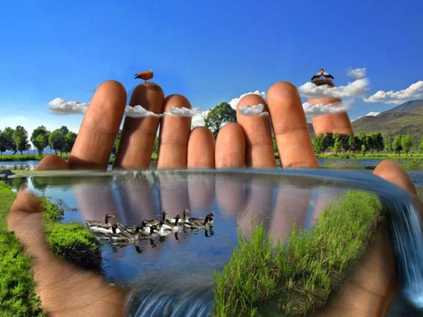 Человек царь природы