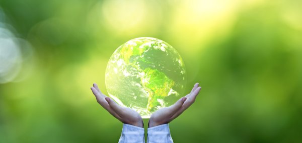 Планета и дерево в руках