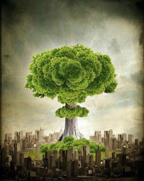 Экологический арт