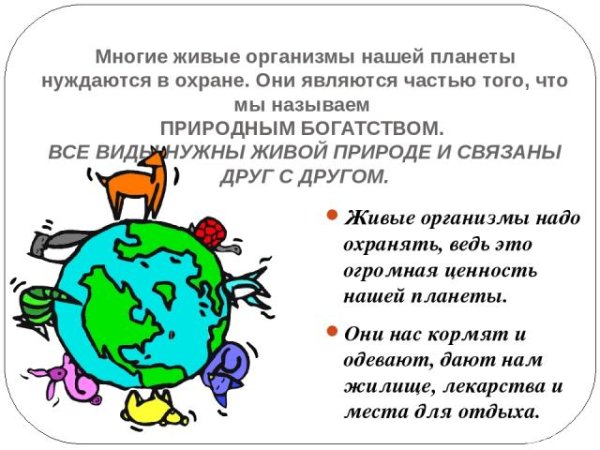 Важность охраны живого мира планеты