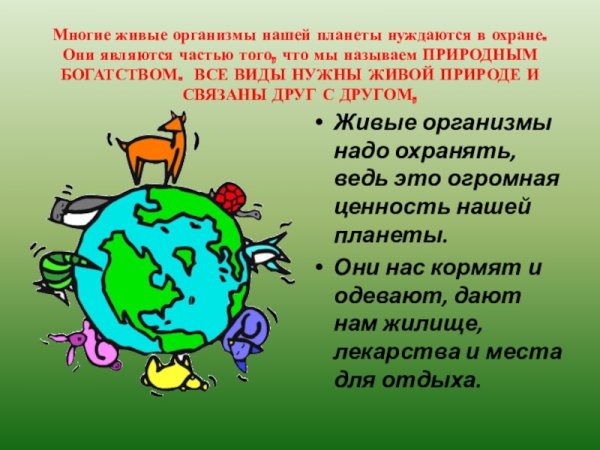 Важность охраны живого мира планеты