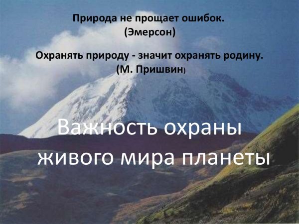 Важность охраны живого мира планеты