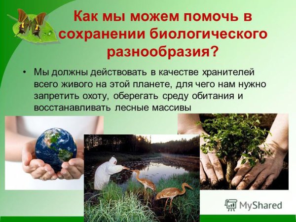 Сохранение биологического разнообразия