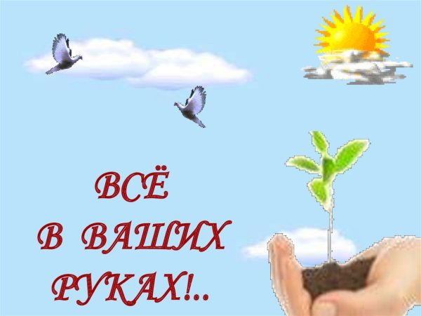 Охрана живого мира рисунки