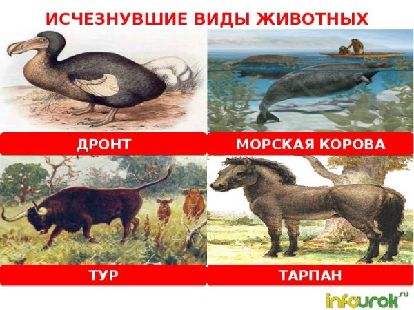 Вымирающие виды животных