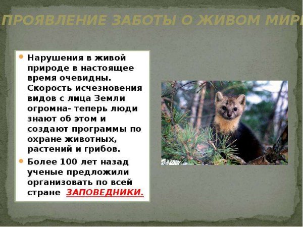 Важность охраны живого мира планеты сообщение