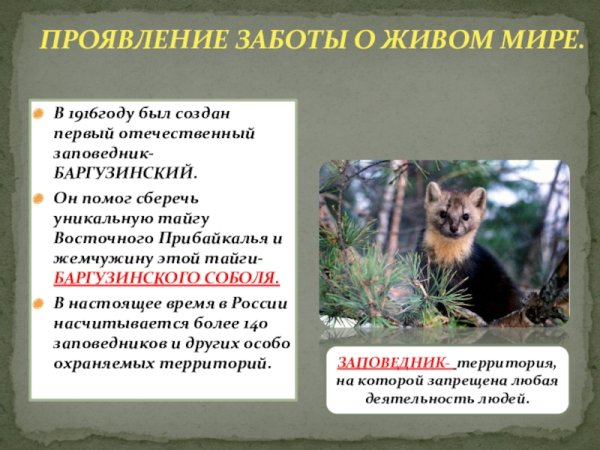 Важность охраны живого мира планеты сообщение