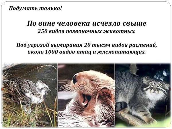 Важность охраны живого мира