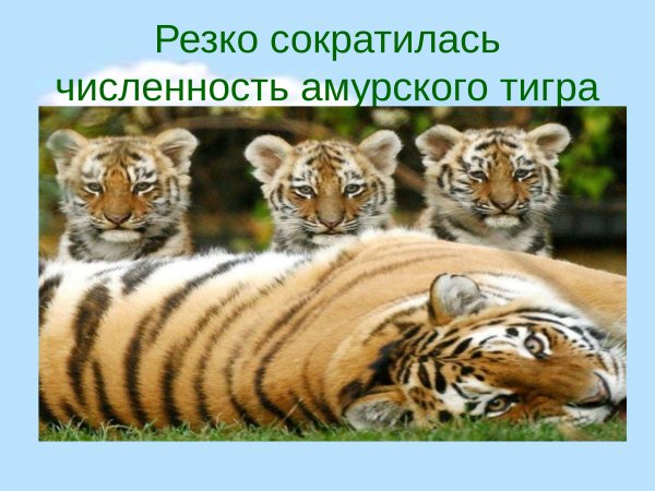 Важность охраны живого мира