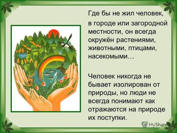Бережное отношение к природе