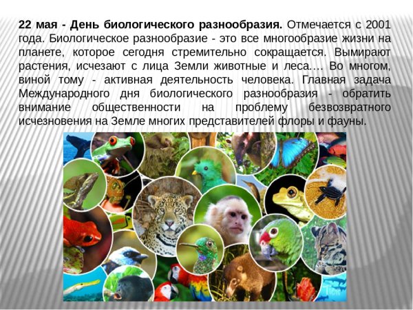 Международный день биологического разнообразия