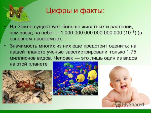 Интересные факты важность охраны живого мира планеты