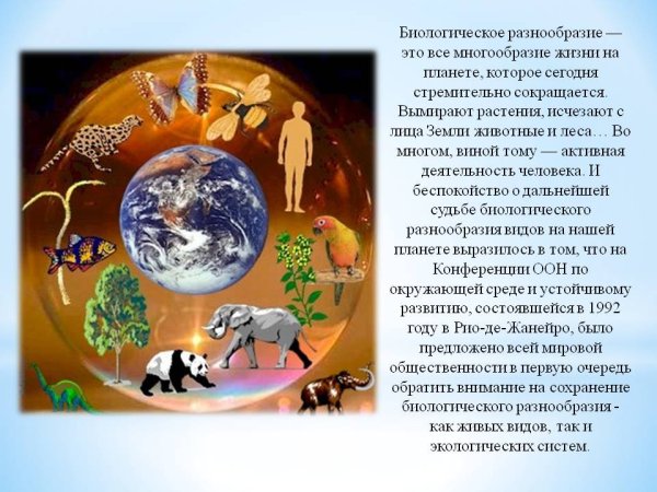 Живые существа нашей планеты