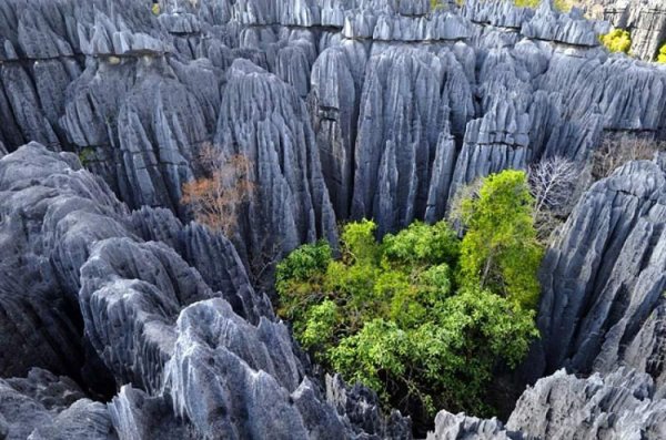 Мадагаскар плато Рорайма