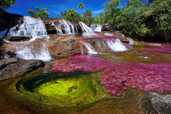 Река Каньо-Кристалес Колумбия