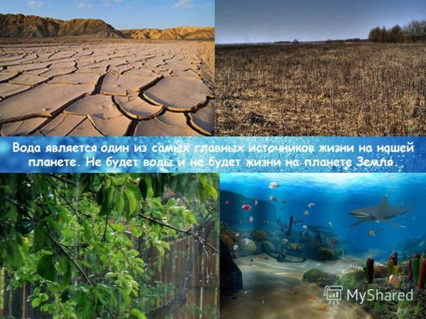 Без воды не было бы жизни на земле