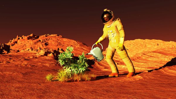 Марс Планета жизнь