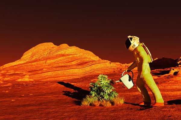 Растительность на Марсе