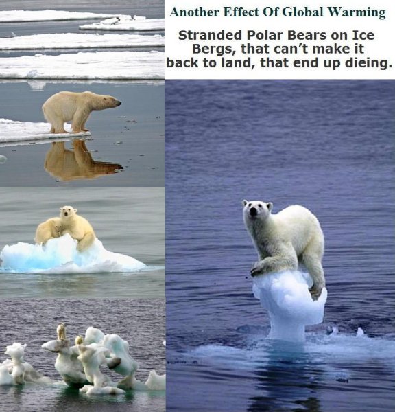 Глобальное потепление сердец