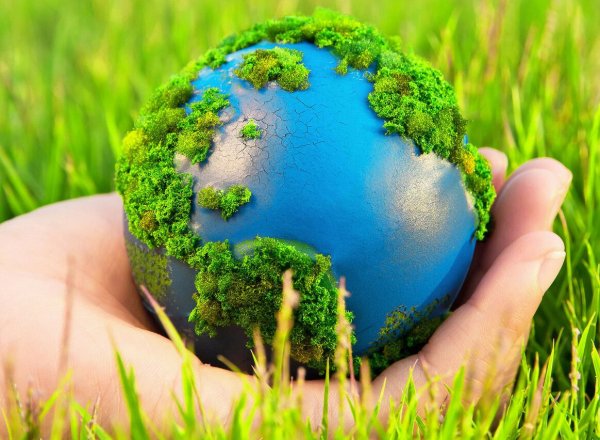 Природа экология