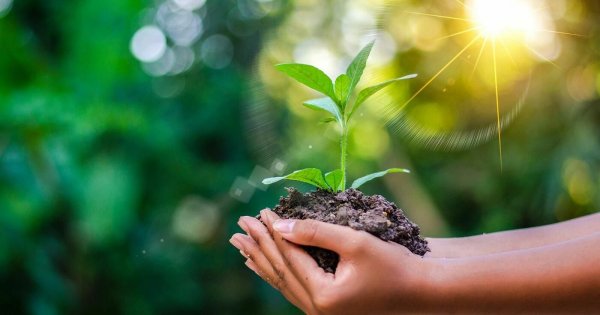 Природа экология