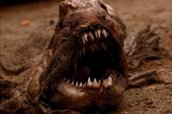 Самое страшное существо