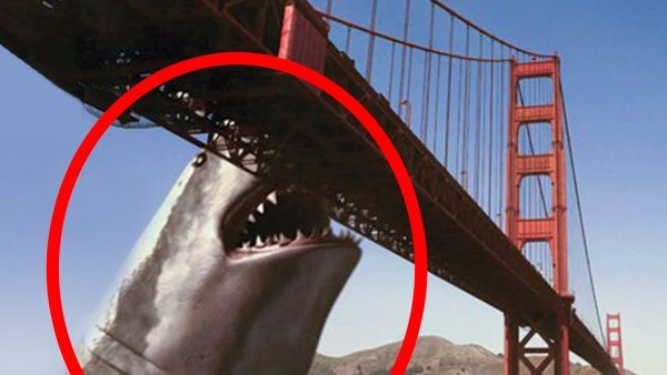 Самые страшные чудовища мира