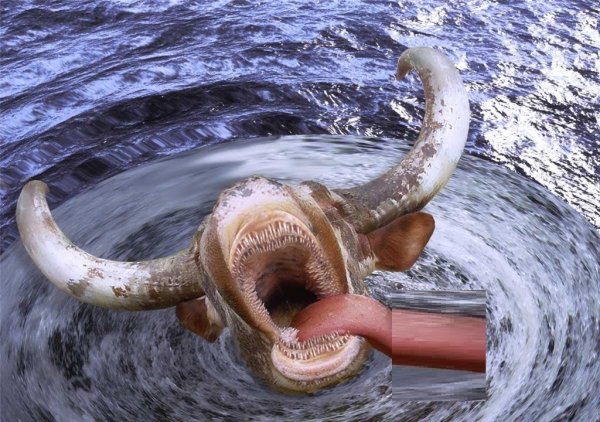 Чудовища Бермудского треугольника