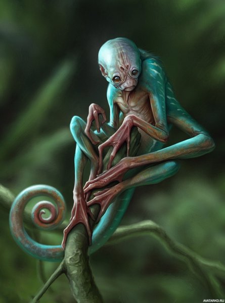 Инопланетные животные