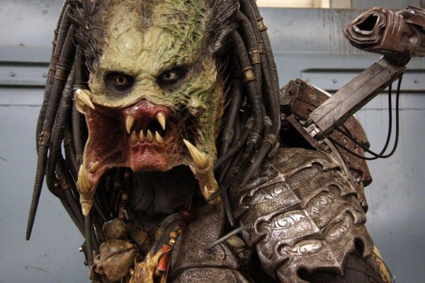 Хищник Яутжа