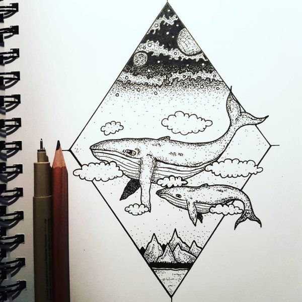 Кит в треугольнике