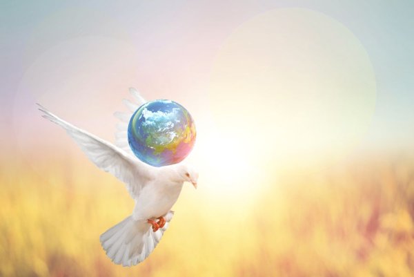 Голубь на фоне глобуса