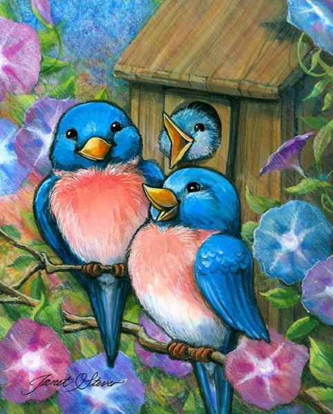 Птичка иллюстрация