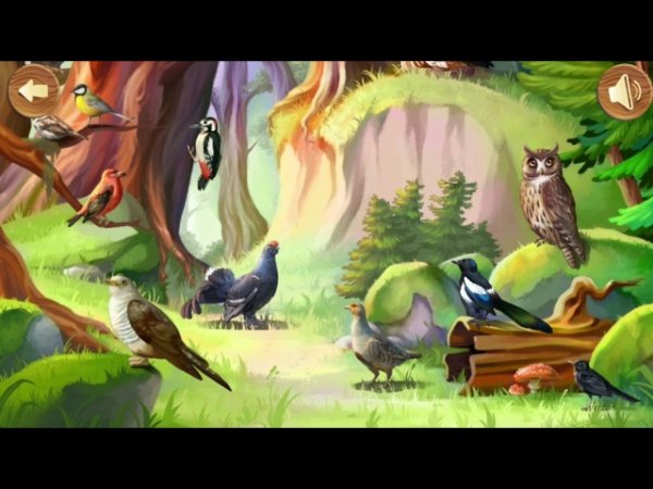 Птицы в лесу для детей