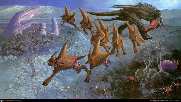 Уэйн Барлоу Экспедиция