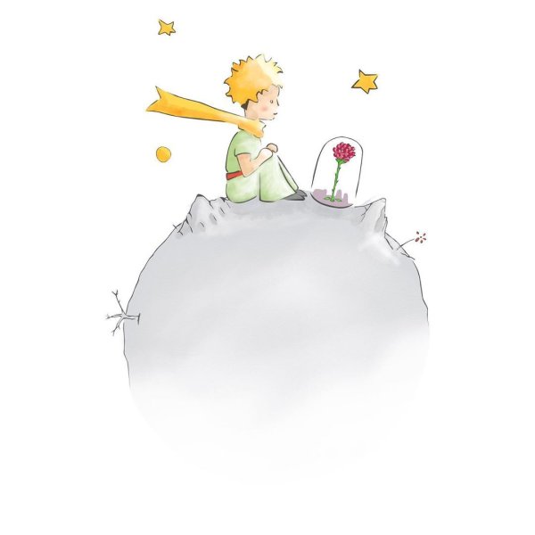Маленький принц le petit Prince