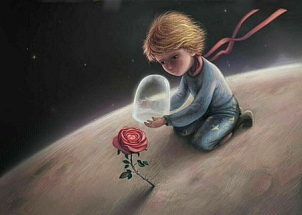 Маленький принц и роза